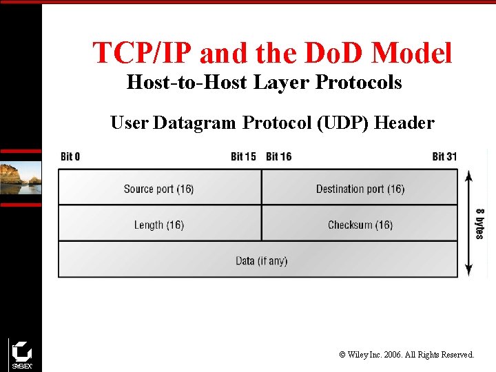 TCP/IP and the Do. D Model Host-to-Host Layer Protocols User Datagram Protocol (UDP) Header