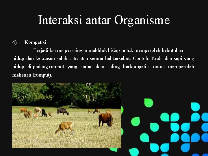 Interaksi antar Organisme 4) Kompetisi Terjadi karena persaingan makhluk hidup untuk memperoleh kebutuhan hidup