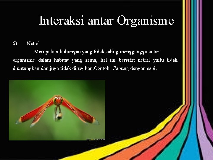 Interaksi antar Organisme 6) Netral Merupakan hubungan yang tidak saling mengganggu antar organisme dalam