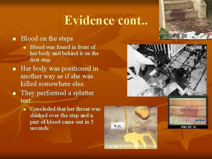 Evidence cont. . n Blood on the steps n n n Blood was found