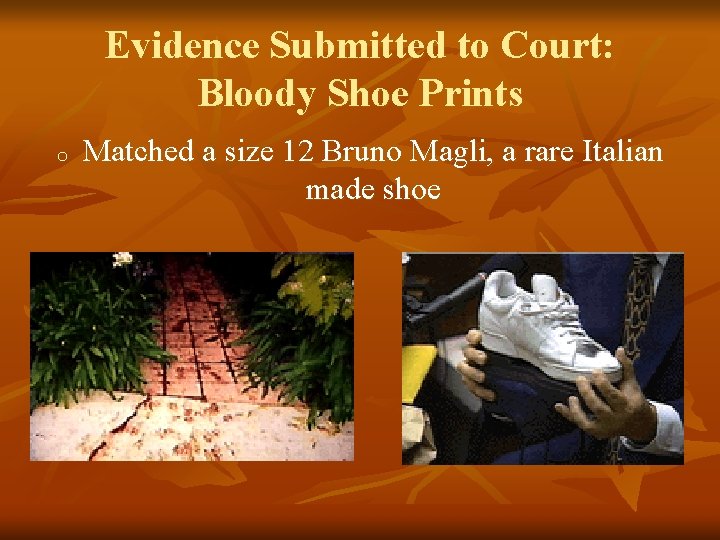 Evidence Submitted to Court: Bloody Shoe Prints o Matched a size 12 Bruno Magli,