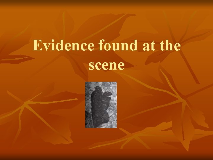Evidence found at the scene 