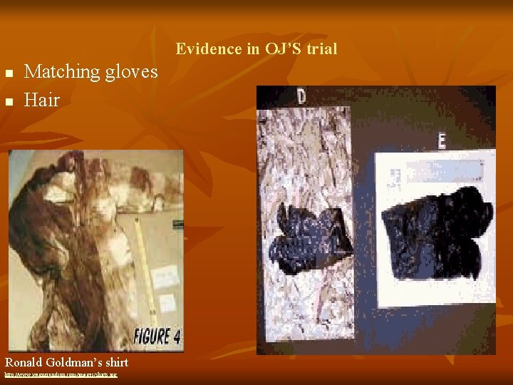 Evidence in OJ’S trial n n Matching gloves Hair Ronald Goldman’s shirt http: //www.