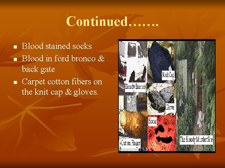 Continued……. n n n Blood stained socks Blood in ford bronco & back gate