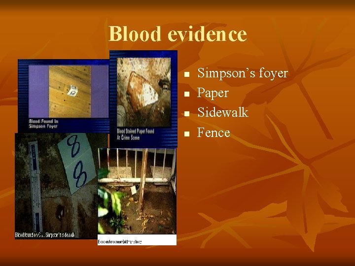 Blood evidence n n Simpson’s foyer Paper Sidewalk Fence 