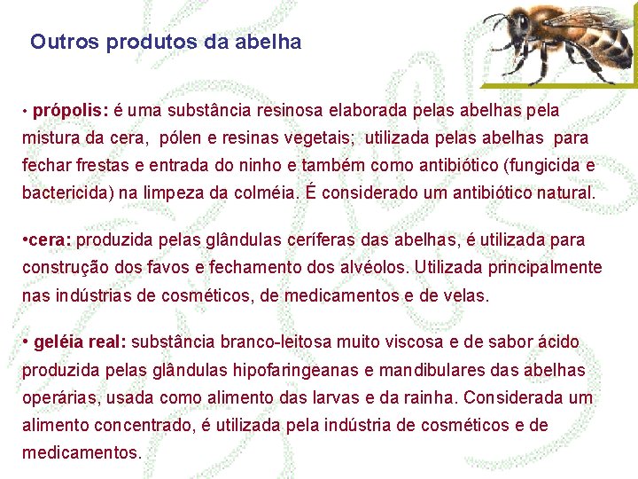 Outros produtos da abelha • própolis: é uma substância resinosa elaborada pelas abelhas pela