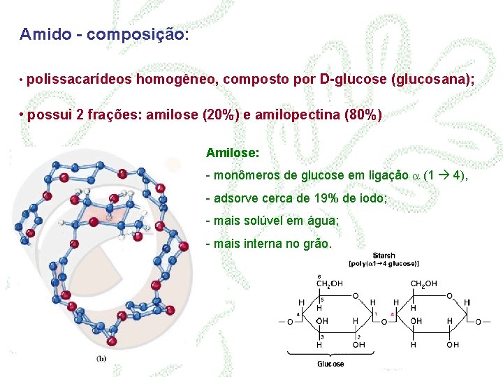 Amido - composição: • polissacarídeos homogêneo, composto por D-glucose (glucosana); • possui 2 frações: