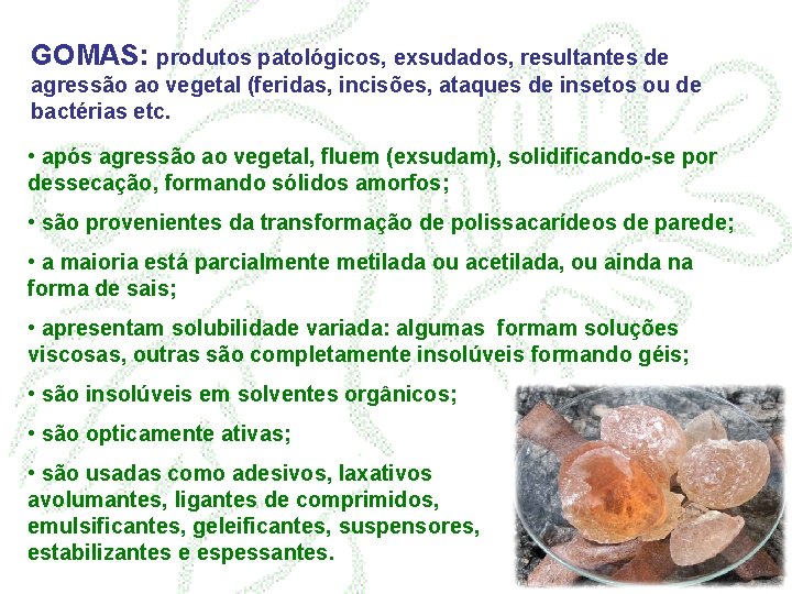 GOMAS: produtos patológicos, exsudados, resultantes de agressão ao vegetal (feridas, incisões, ataques de insetos