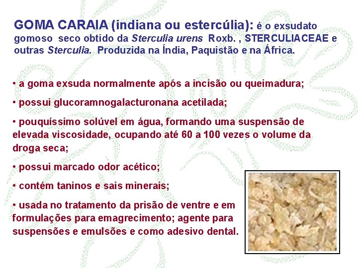 GOMA CARAIA (indiana ou estercúlia): é o exsudato gomoso seco obtido da Sterculia urens