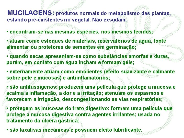 MUCILAGENS: produtos normais do metabolismo das plantas, estando pré-existentes no vegetal. Não exsudam. •