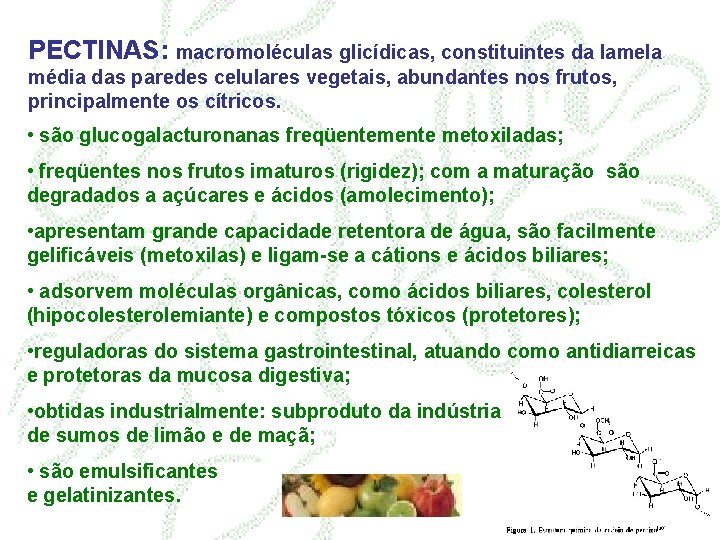 PECTINAS: macromoléculas glicídicas, constituintes da lamela média das paredes celulares vegetais, abundantes nos frutos,