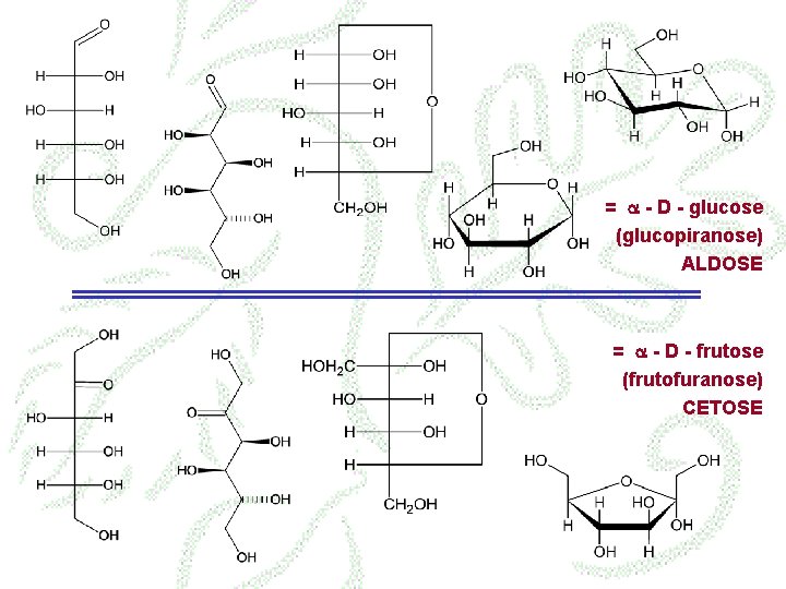 = a - D - glucose (glucopiranose) ALDOSE = a - D - frutose