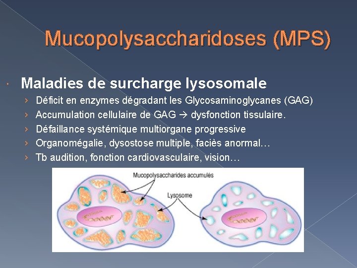 Mucopolysaccharidoses (MPS) Maladies de surcharge lysosomale › › › Déficit en enzymes dégradant les