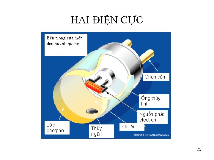 HAI ĐIỆN CỰC Bên trong của một đèn hùynh quang Chân cắm Ống thủy