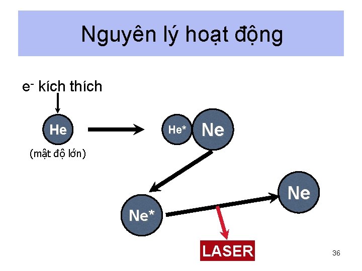 Nguyên lý hoạt động e- kích thích He He* Ne (mật độ lớn) Ne