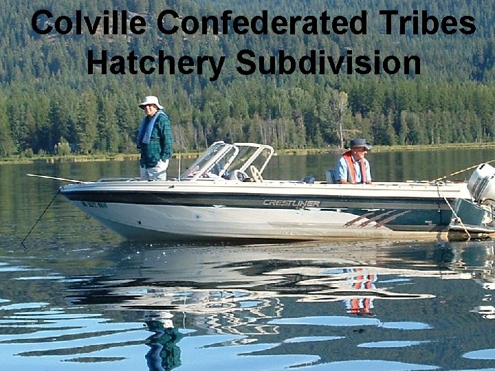 Colville Confederated Tribes Hatchery Subdivision 