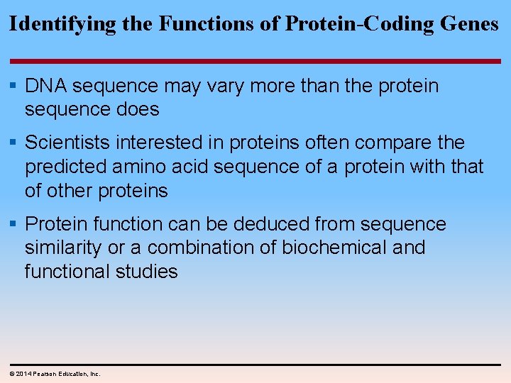 Identifying the Functions of Protein-Coding Genes § DNA sequence may vary more than the