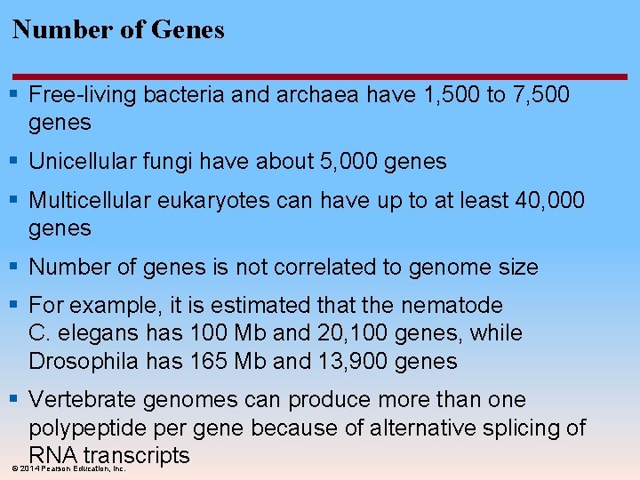 Number of Genes § Free-living bacteria and archaea have 1, 500 to 7, 500