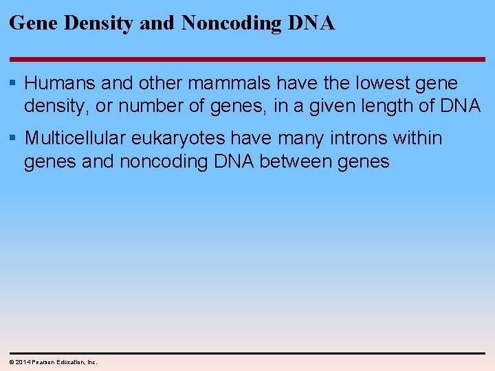 Gene Density and Noncoding DNA § Humans and other mammals have the lowest gene