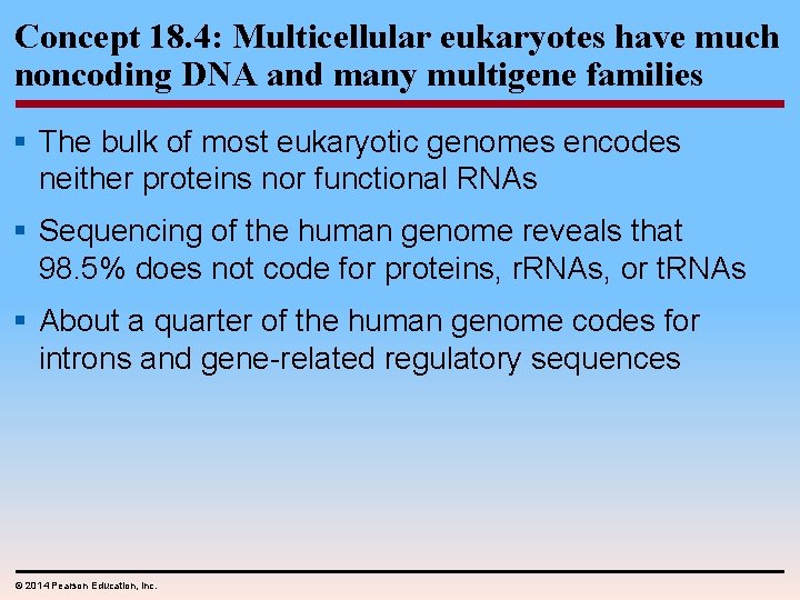 Concept 18. 4: Multicellular eukaryotes have much noncoding DNA and many multigene families §