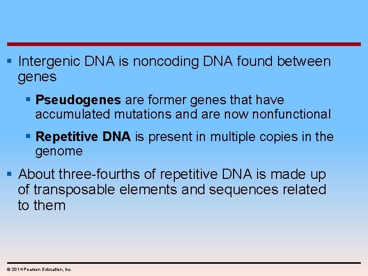 § Intergenic DNA is noncoding DNA found between genes § Pseudogenes are former genes