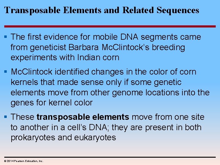 Transposable Elements and Related Sequences § The first evidence for mobile DNA segments came