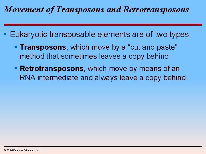 Movement of Transposons and Retrotransposons § Eukaryotic transposable elements are of two types §