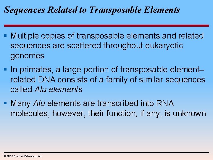 Sequences Related to Transposable Elements § Multiple copies of transposable elements and related sequences
