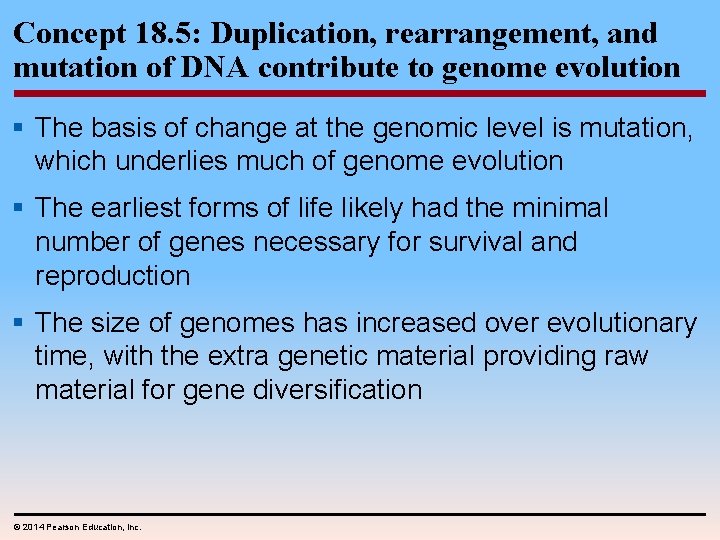 Concept 18. 5: Duplication, rearrangement, and mutation of DNA contribute to genome evolution §