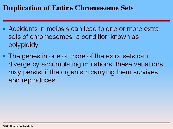 Duplication of Entire Chromosome Sets § Accidents in meiosis can lead to one or