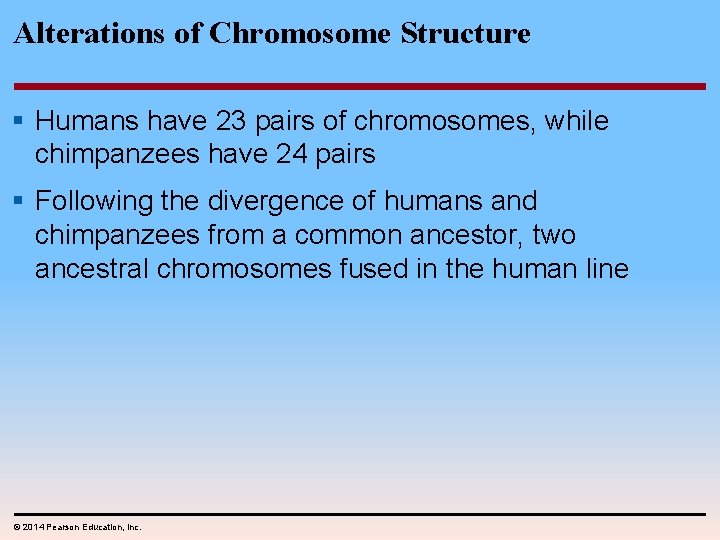 Alterations of Chromosome Structure § Humans have 23 pairs of chromosomes, while chimpanzees have