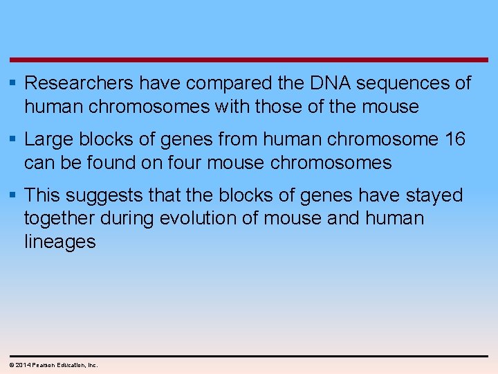 § Researchers have compared the DNA sequences of human chromosomes with those of the