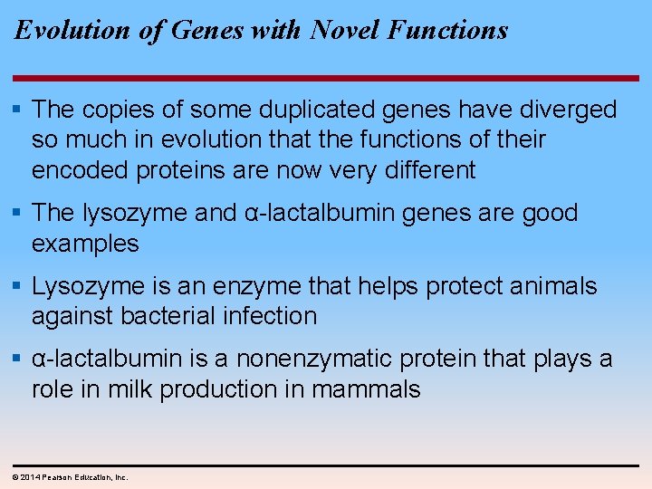Evolution of Genes with Novel Functions § The copies of some duplicated genes have