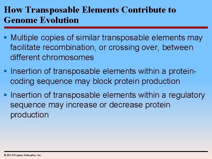 How Transposable Elements Contribute to Genome Evolution § Multiple copies of similar transposable elements