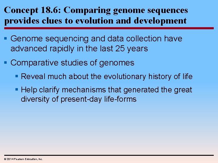 Concept 18. 6: Comparing genome sequences provides clues to evolution and development § Genome