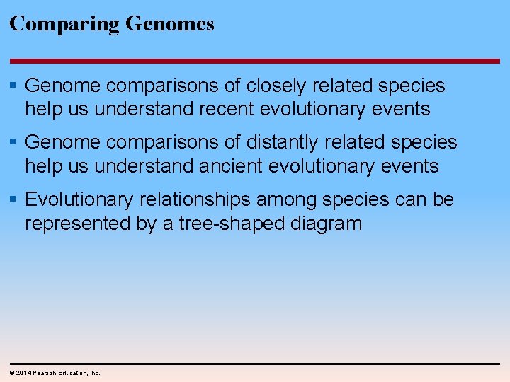 Comparing Genomes § Genome comparisons of closely related species help us understand recent evolutionary