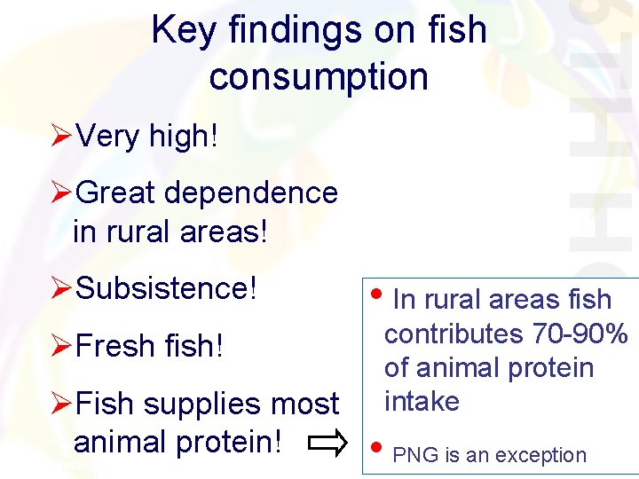 Key findings on fish consumption ØVery high! ØGreat dependence in rural areas! ØSubsistence! ØFresh Key findings on fish consumption ØVery high! ØGreat dependence in rural areas! ØSubsistence! ØFresh