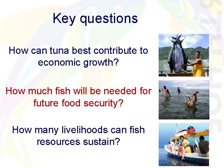 Key questions How can tuna best contribute to economic growth? How much fish will Key questions How can tuna best contribute to economic growth? How much fish will
