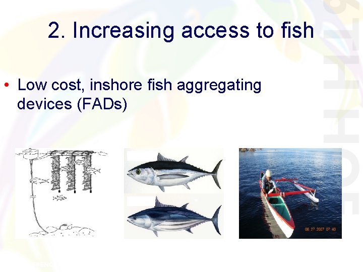 2. Increasing access to fish • Low cost, inshore fish aggregating devices (FADs) 2. Increasing access to fish • Low cost, inshore fish aggregating devices (FADs)
