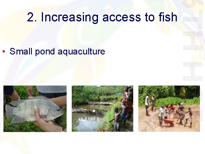 2. Increasing access to fish • Small pond aquaculture 2. Increasing access to fish • Small pond aquaculture