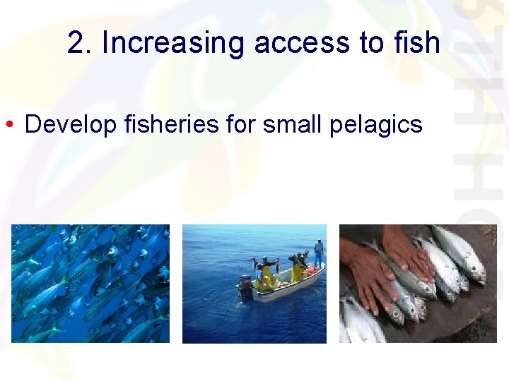 2. Increasing access to fish • Develop fisheries for small pelagics 2. Increasing access to fish • Develop fisheries for small pelagics