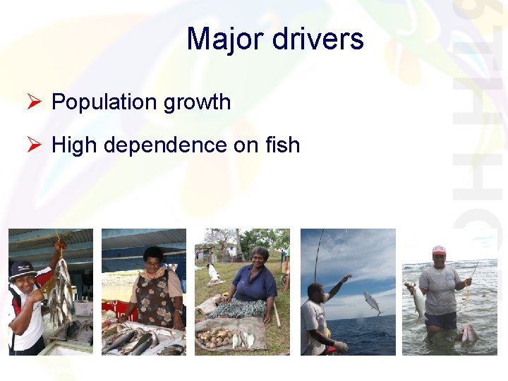Major drivers Ø Population growth Ø High dependence on fish Major drivers Ø Population growth Ø High dependence on fish