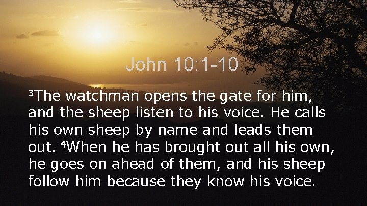 John 10: 1 -10 3 The watchman opens the gate for him, and the