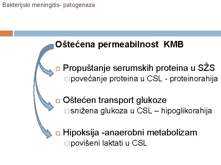 Bakterijski meningitis- patogeneza Oštećena permeabilnost KMB Propuštanje serumskih proteina u SŽS � povećanje Oštećen