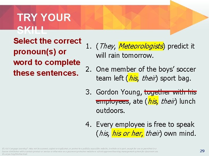 TRY YOUR SKILL Select the correct 1. (They, Meteorologists) predict it pronoun(s) or will TRY YOUR SKILL Select the correct 1. (They, Meteorologists) predict it pronoun(s) or will