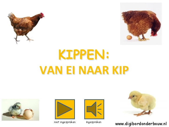 KIPPEN: VAN EI NAAR KIP niet ingesproken www. digibordonderbouw. nl 