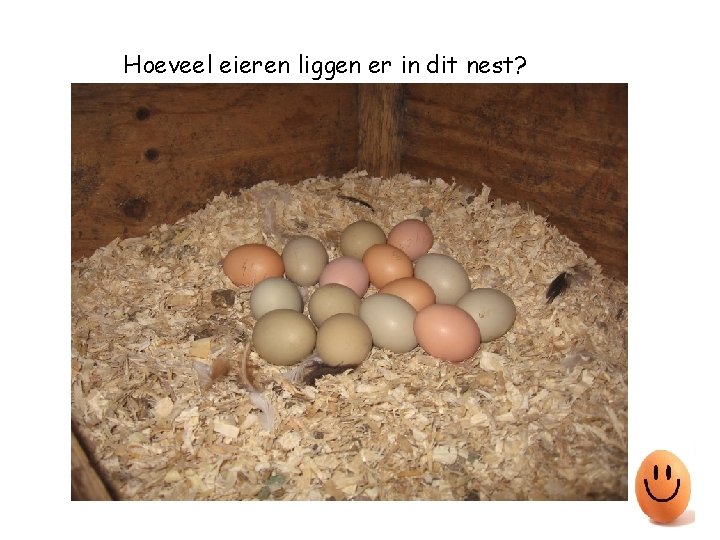 Hoeveel eieren liggen er in dit nest? 