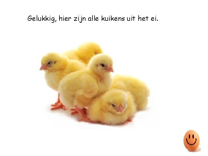 Gelukkig, hier zijn alle kuikens uit het ei. 