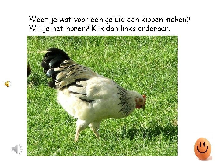 Weet je wat voor een geluid een kippen maken? Wil je het horen? Klik