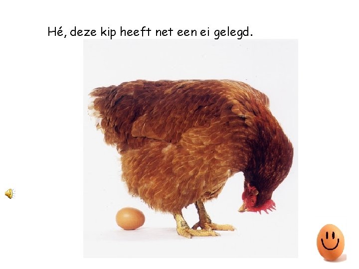 Hé, deze kip heeft net een ei gelegd. 